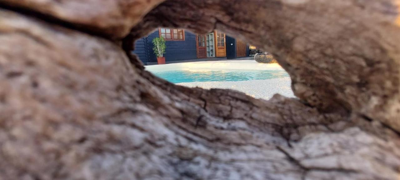 Villa Los Guirres Tazacorte Kültér fotó
